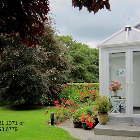 Conways B&B Claremorris Dış mekan fotoğraf