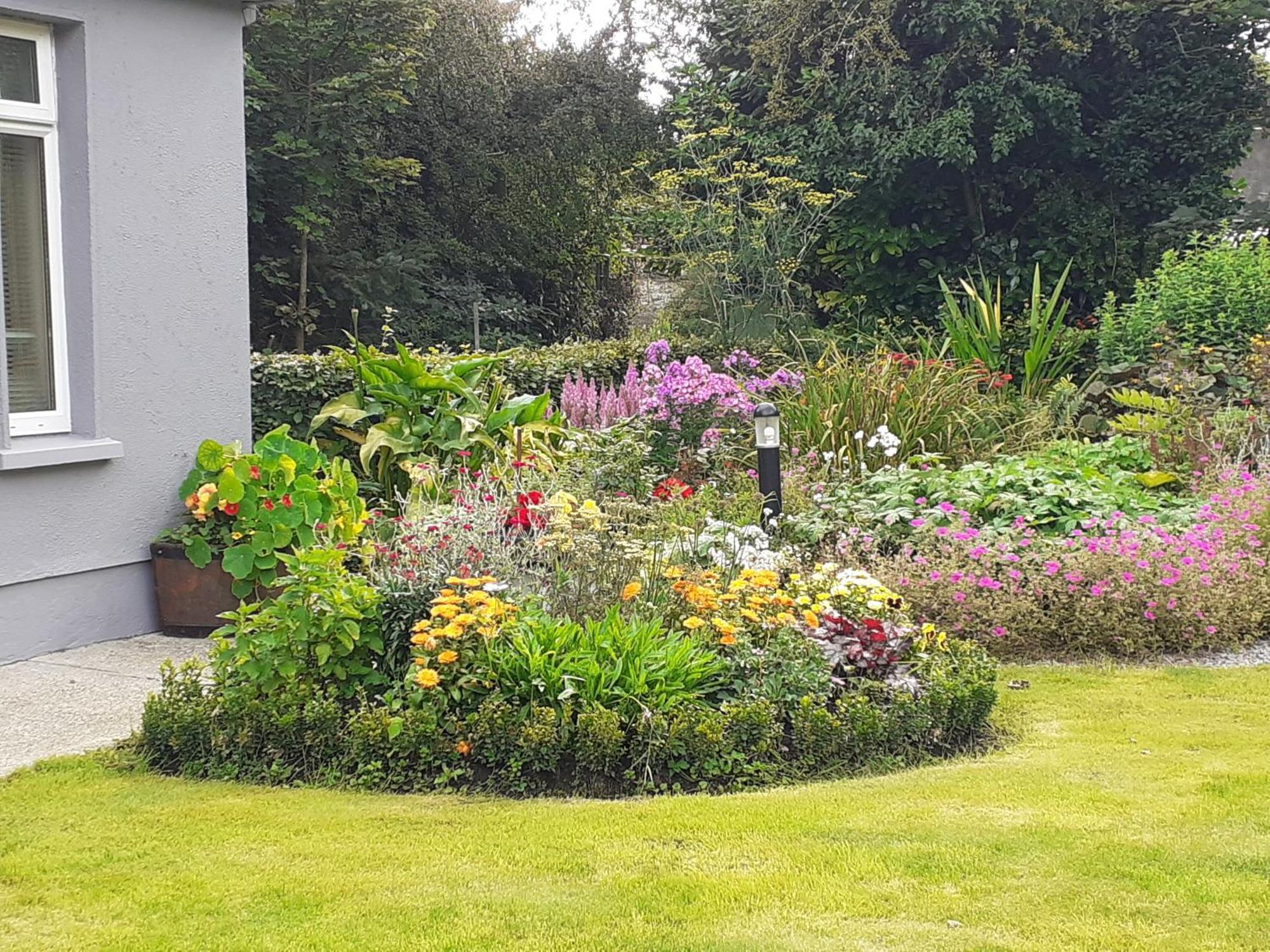 Conways B&B Claremorris Dış mekan fotoğraf