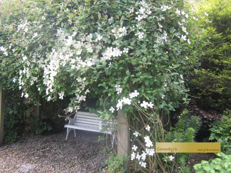 Conways B&B Claremorris Dış mekan fotoğraf