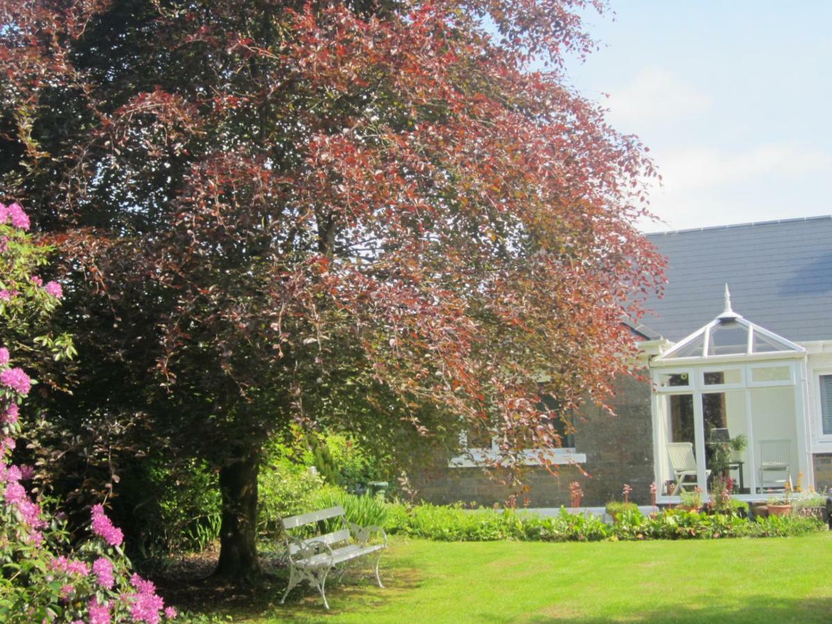 Conways B&B Claremorris Dış mekan fotoğraf